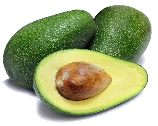 aguacates