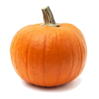 calabaza_v1